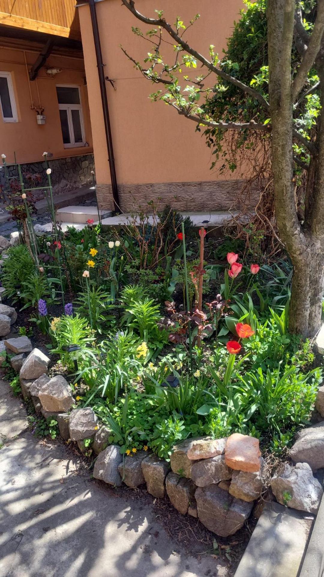 John Residence Apartment Brasov With Parking Option ภายนอก รูปภาพ